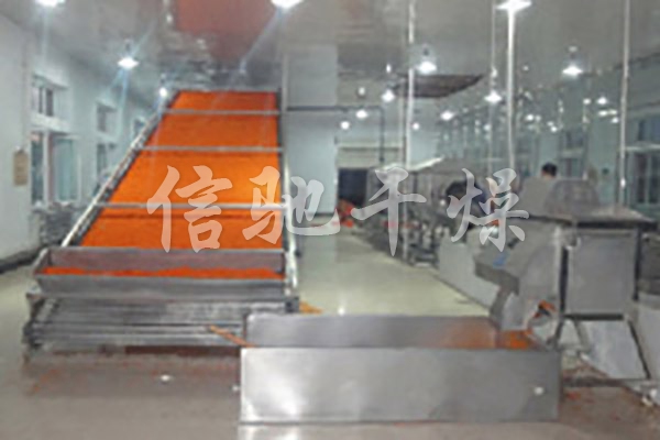 脫水蔬菜干燥生產(chǎn)線(xiàn)